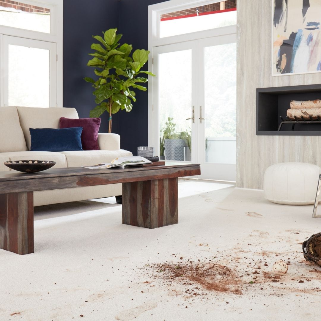 dirt on white carpet in modern living room